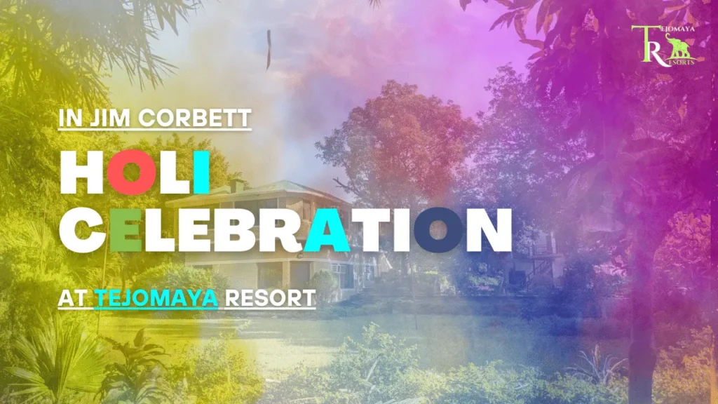 holi-at-tejomaya-jungle-jungle-resort