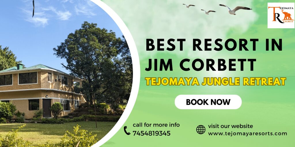 Best Resort in Jim Corbett