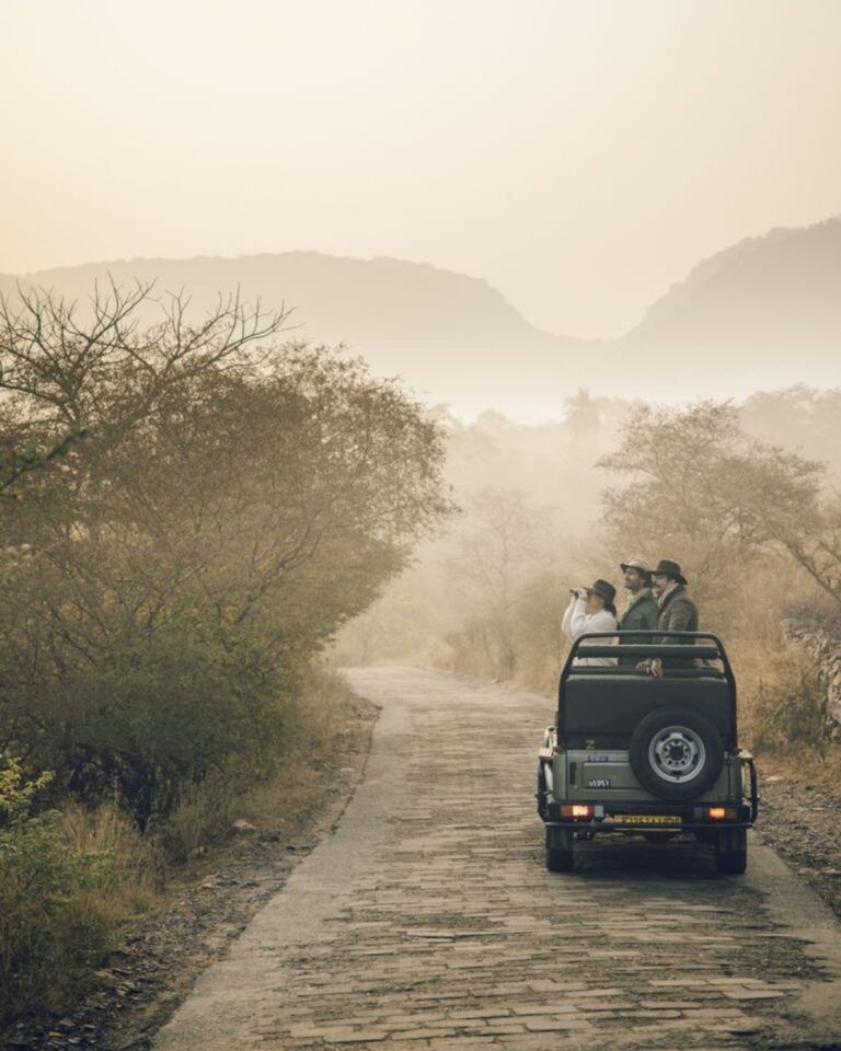 Jungle safaris at corbett